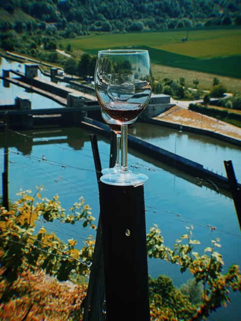 Glas Württemberger Wein mit Blick über den Neckar