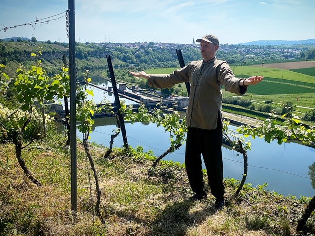 Daniel übt Qigong im Weinberg hoch über dem Neckar bei Marbach