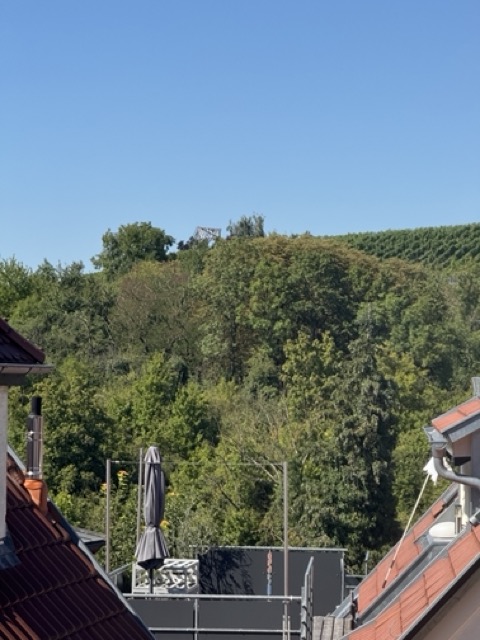 Blick in die Marbacher Weinberge